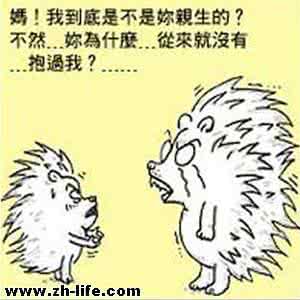 刺猬法则 你和男友为什么越来越远?刺猬法则