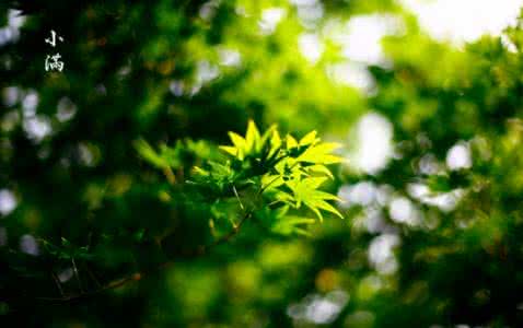 小满节气养生 小满节气养生 盘点小满节气各地的气候特征