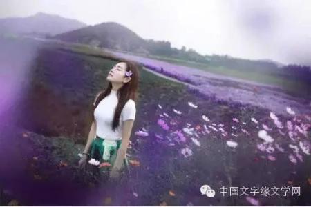 愿逐月华 愿逐月华恋今生