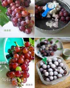 冰冻葡萄 冰冻葡萄的做法,