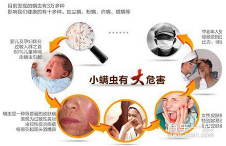 螨虫咬的包如何消除 螨虫的危害 教你消除螨虫