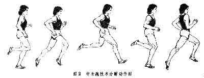 中长距离跑技巧 中长距离跑