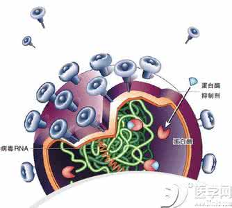 地坛专家谈丙肝窗口期 专家称推行HCV RNA检测技术来防控丙肝