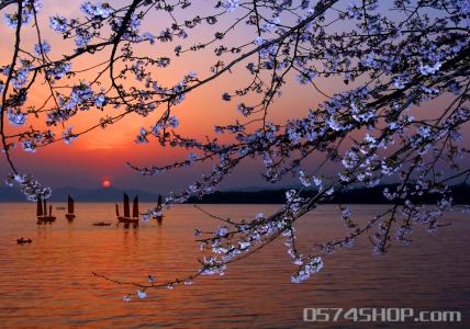 太湖鼋头渚樱花节 太湖鼋头渚樱花节旅游攻略