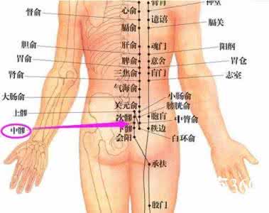 足太阳膀胱经中髎穴位位置图_按摩中髎穴的作用与好处