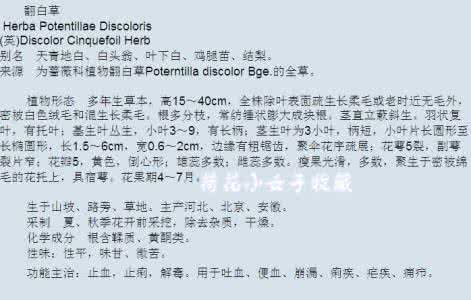 治疗糖尿病祖传秘方 【祖传秘方】图荐《治疗糖尿病祖传奇方翻白草》