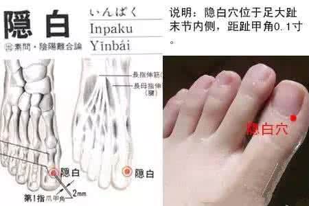 隐 白 穴