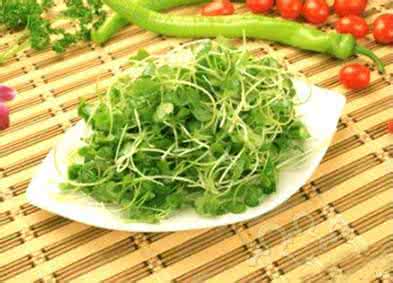 麦芽汁抗癌 小麦芽抗癌吗 ?发了芽竟成了“抗癌冠军”！很多人家却都扔了~太浪费