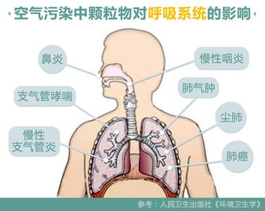 葶苈大枣泄肺汤 逆之则伤肺，冬为娘泄，奉藏者少