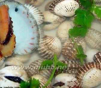 中国各地的特产 中国各地特产大全