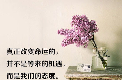 天涯论坛读懂人生 【人生感悟】只有读懂自己的人,才能真正读懂人生