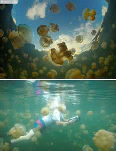 神秘水域 全球十二大神秘水域