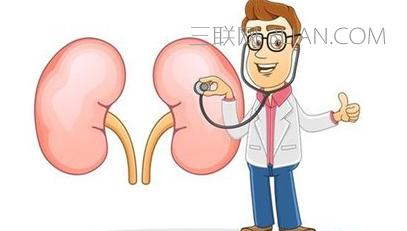 夏天养肾 夏天到了什么方法可以养肾