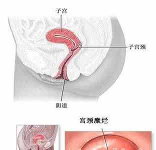 排卵期体温变化图 女人排卵期私处惊人变化