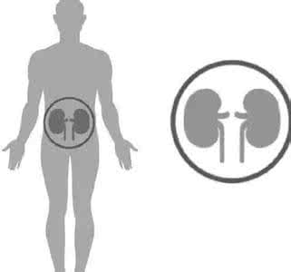 肾虚的症状有哪些 不说不知道,肾不肾虚,晚上一个小动作就能发现!