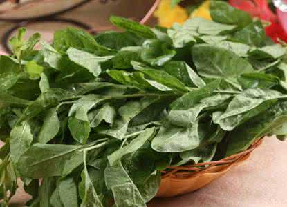 孕妇可以吃枸杞叶吗 孕妇可以吃枸杞叶吗 孕妇能吃枸杞吗？