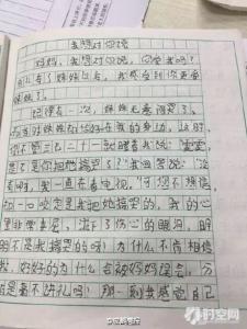 小学生五年级作文 小学五年级作文（一）