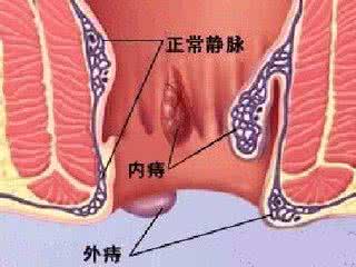 女性排卵期是什么时候 女性排卵期是什么时候 女性的排卵期是什么时候