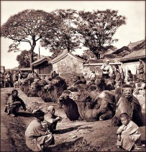 中国历史的隐秘法则 《中国古代三十件隐秘大悬案:历史罪》