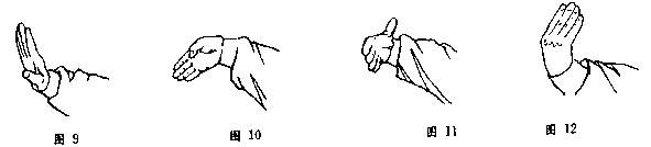 九宫旋转十二桩法 武当 | 九宫旋转十二法（4）