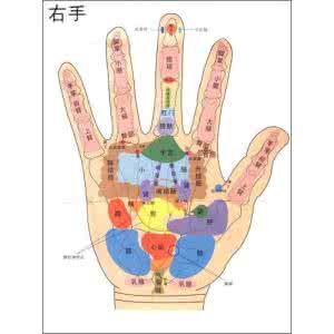 手部经络图 手部反射区图
