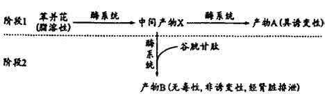 常见碳水化合物含量表 苯并芘 苯并芘是一种有害化合物。常见于煤焦油、汽车废气、香烟烟雾、烤焦的面包和肉表层。