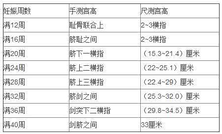 怀孕怎么测宫高 宫高怎么测量