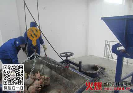 畜禽粪便无害化处理 高度重视病死畜禽危害 确保实现无害化处理