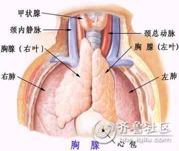 按摩身体各个部位图解 按摩对身体有哪些好处 按摩什么部位能防癌