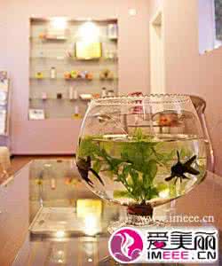 家居风水鱼缸的摆放 家居风水鱼缸摆放禁忌 解析家居风水鱼缸摆放禁忌 鱼缸摆放禁忌