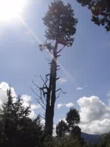行尽天涯 静默山水间 西藏之二----山水,神圣的静默