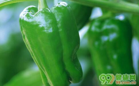 产妇月子能吃青椒吗 产妇能吃青椒吗