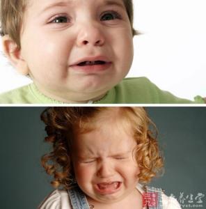 我对养宠物的看法 从养宠物看人际关系