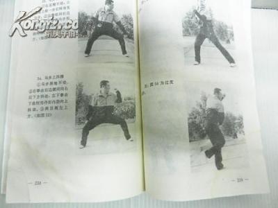 少林拳教学视频 少林拳 | 正宗四路少林豹窜拳