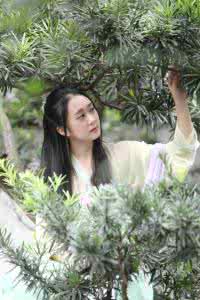 寂静流年遍开花 流年无痕，静渡清欢