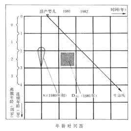 系统动态特性 人口系统动态特性