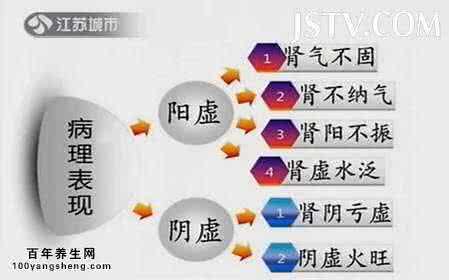 肾阴虚 肾阳虚 肾气虚 20150702万家灯火视频和笔记:高振宗,肾阴虚,肾阳虚,肾气不足