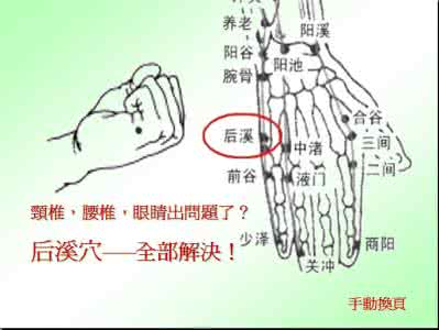 颈椎腰椎的作用与特性 后溪穴对颈椎、腰椎、眼睛的作用