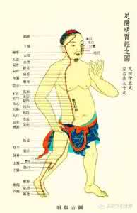 中医经络学说 学中医很简单系列（一）：十四经络歌