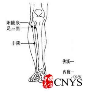 穴位按摩有哪些好方法