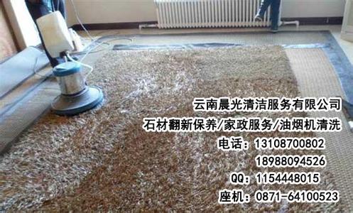 重庆地毯清洗 重庆地毯清洗 哪个重庆地毯清洗公司值得选择