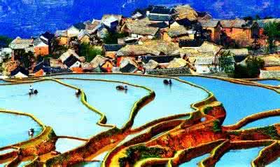 哈尼族梯田文化 哈尼族的梯田文化有什么样的民族特色