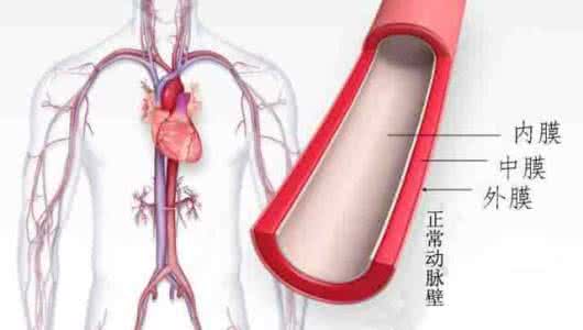 怎样改掉口吃的毛病 血管毛病是吃出来的,用这4种天然阿司匹林帮助血管年轻