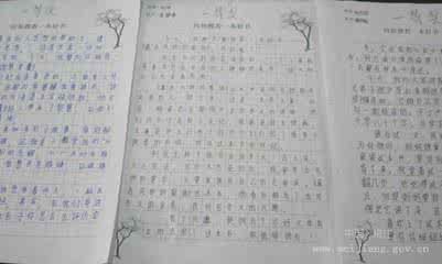 语文科代表作文400字