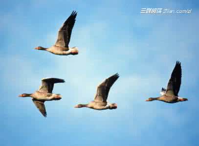 国防军事大家谈2012 2012寒露大家谈