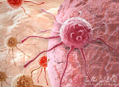 大麻治疗癌症 癌症研究新进展 大麻可提高放疗效果