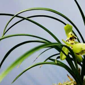 智慧背囊 【智慧背囊】花该花的钱