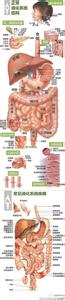 消化科常见疾病 一张图让你读懂：常见消化疾病