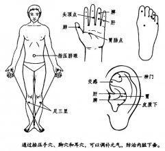 胃病三联疗法 胃病穴疗法【图文】