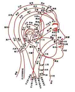 头为诸阳之会 诸阳之会，百脉之宗